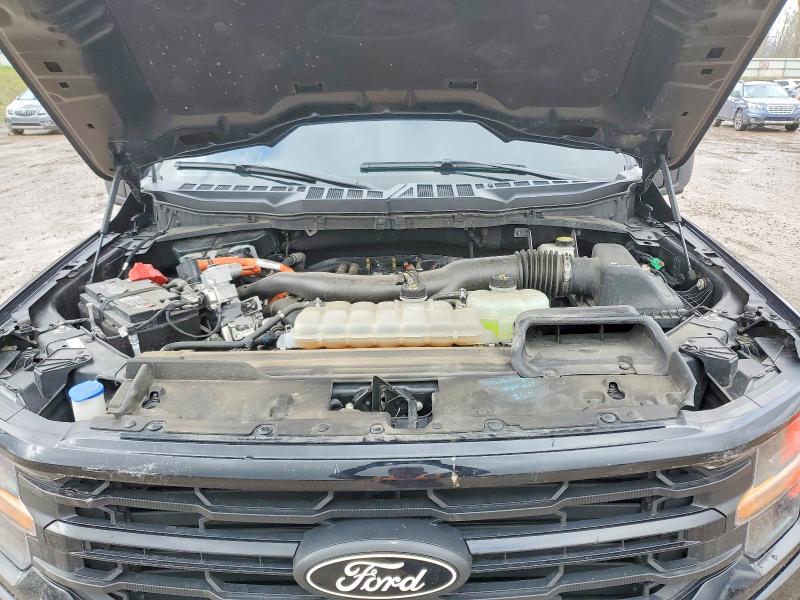 Продаж на аукціоні авто 2024 Ford F150, vin: 1FTFW3LD1RFA61988, номер лоту: 50277306