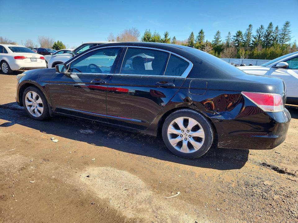 Продажа на аукционе авто 2010 Honda Accord, vin: 1HGCP2F8XAA802361, номер лота: 49982916