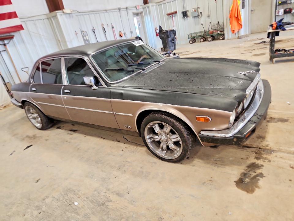 50660006 :رقم المزاد ، SAJAY1343FC397388 vin ، 1985 Jaguar Xj6 مزاد بيع