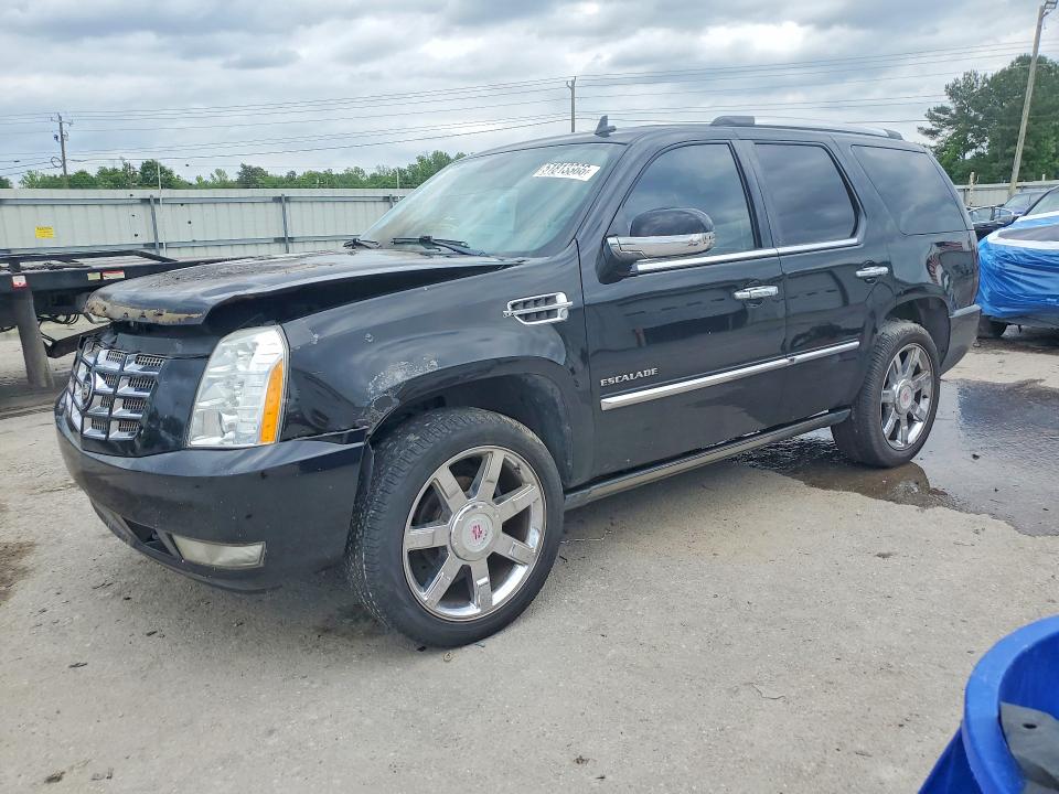 Продаж на аукціоні авто 2011 Cadillac Escalade, vin: 1GYS3CEF0BR349764, номер лоту: 51813366