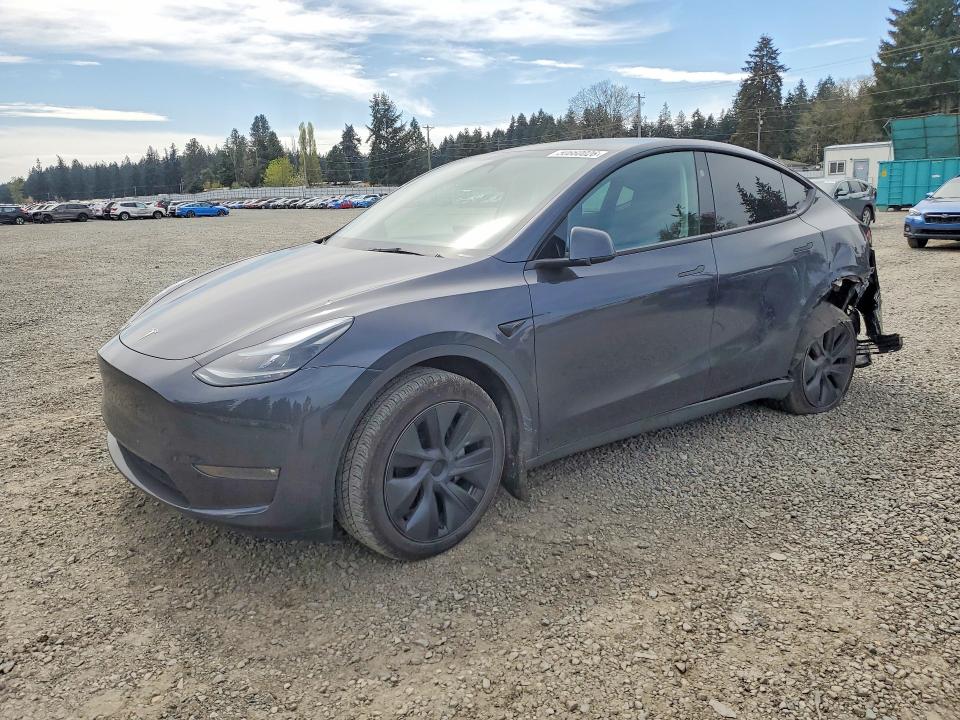 Aukcja sprzedaży 2024 Tesla Model Y, vin: 7SAYGDEE3RF120631, numer aukcji: 50660026