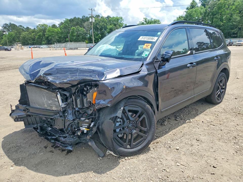 Продаж на аукціоні авто 2025 Kia Telluride, vin: 5XYP5DGC9SG574598, номер лоту: 51018896