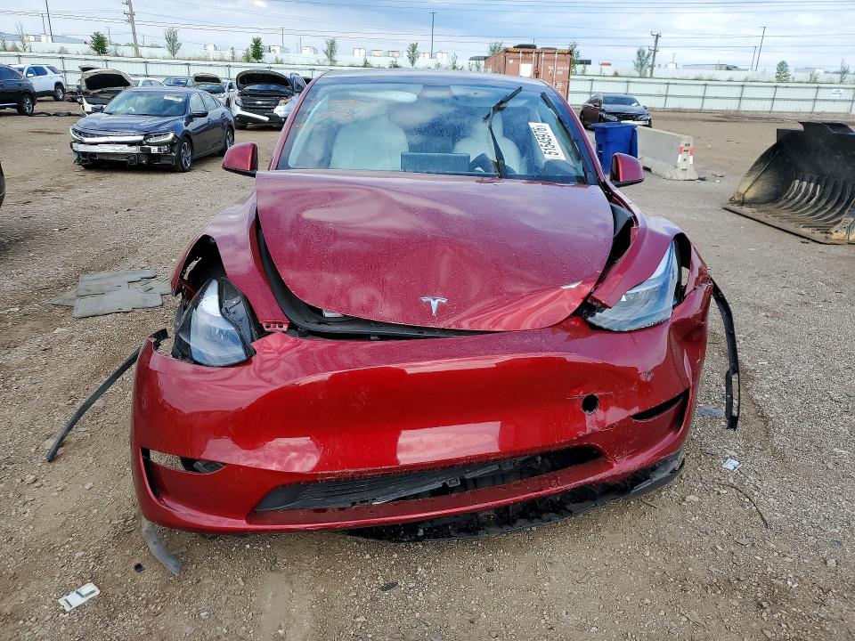 Продажа на аукционе авто 2024 Tesla Model Y, vin: 7SAYGDEF2RA265519, номер лота: 51545976