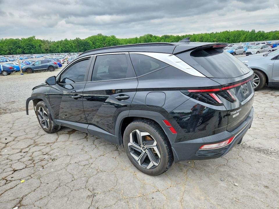 2023 Hyundai Tucson მანქანა იყიდება აუქციონზე, vin: 5NMJF3AEXPH206564, აუქციონის ნომერი: 51449336