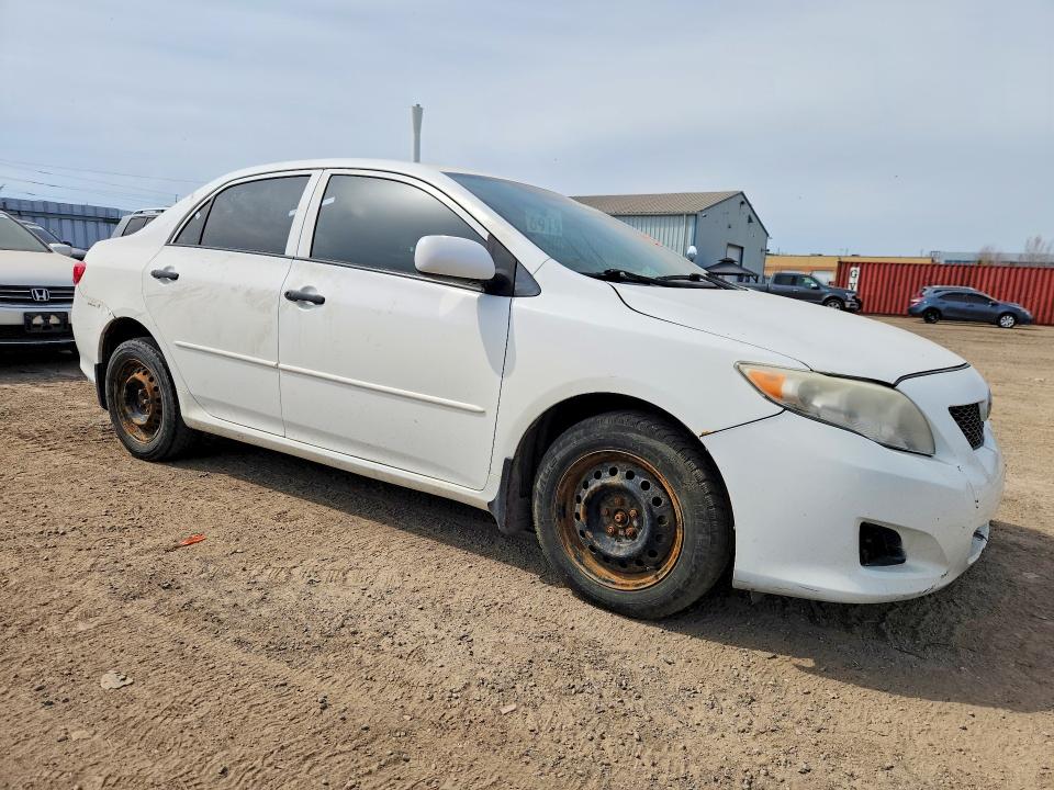50369826 :رقم المزاد ، 2T1BU4EE7AC231459 vin ، 2010 Toyota Corolla مزاد بيع