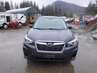 49513336 :رقم المزاد ، JF2SKACC9KH531783 vin ، 2019 Subaru Forester مزاد بيع