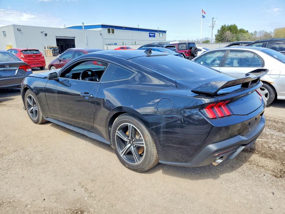 50737306 :رقم المزاد ، 1FA6P8TH5R5134045 vin ، 2024 Ford Mustang مزاد بيع