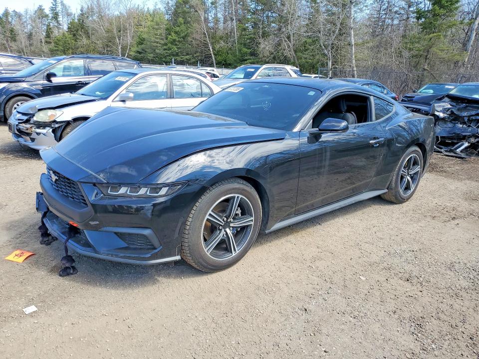 Продажа на аукционе авто 2024 Ford Mustang, vin: 1FA6P8TH5R5134045, номер лота: 50737306