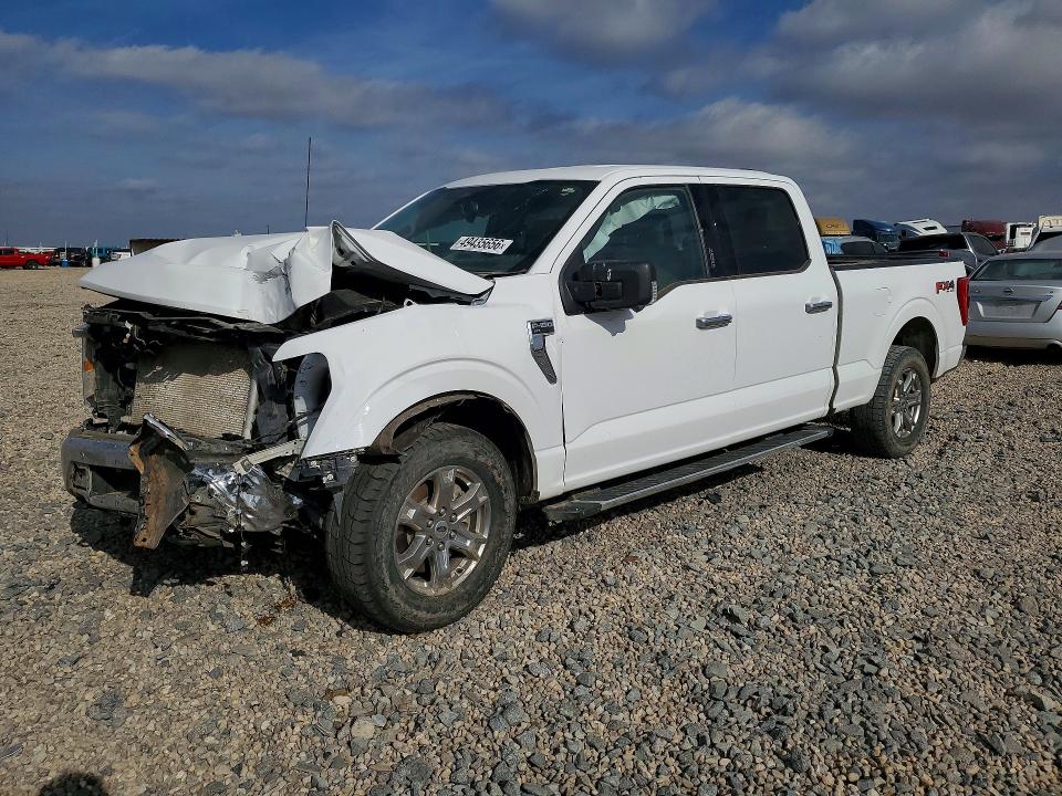 Aukcja sprzedaży 2023 Ford F150, vin: 1FTFW1E81PKD46344, numer aukcji: 49435656
