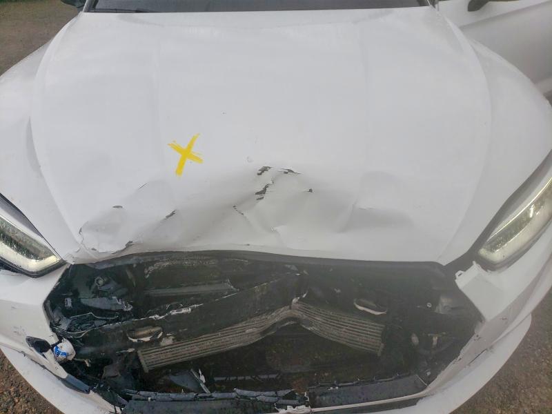 49683216 :رقم المزاد ، WAUC4CF51KA048476 vin ، 2019 Audi S5 مزاد بيع