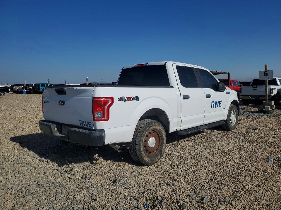 50955096 :رقم المزاد ، 1FTEW1EG0GKD25021 vin ، 2016 Ford F150 مزاد بيع