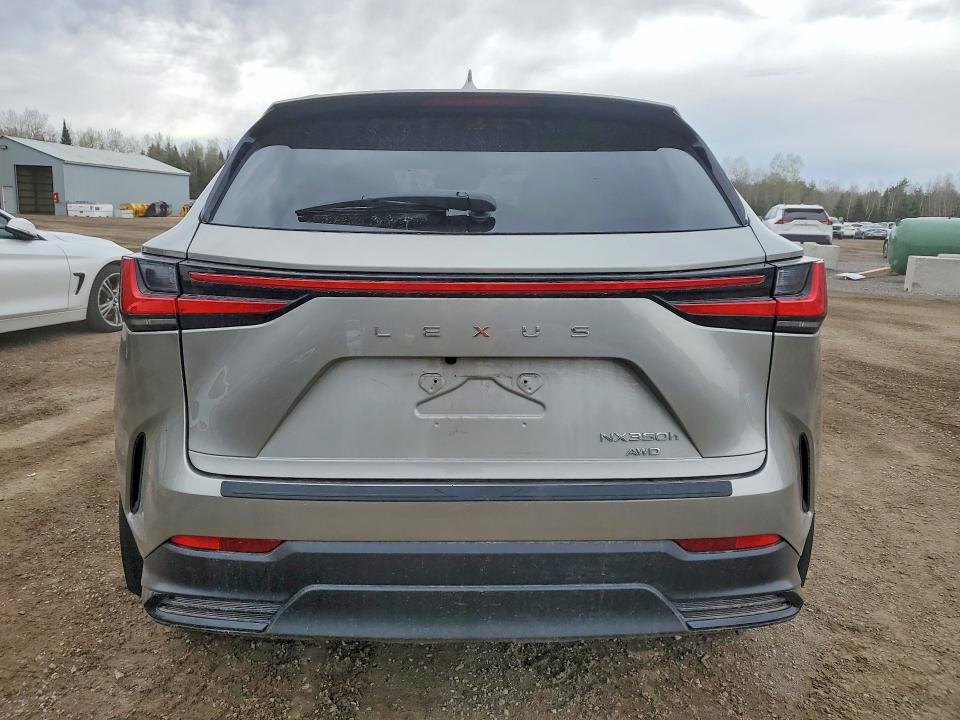 Продаж на аукціоні авто 2024 Lexus Nx 350h, vin: 2T2GKCEZ7RC027695, номер лоту: 51724086