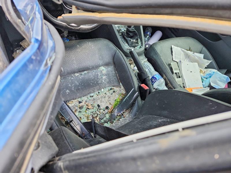 Aukcja sprzedaży 2017 Volkswagen Jetta, vin: 3VWL17AJ7HM402565, numer aukcji: 50272076