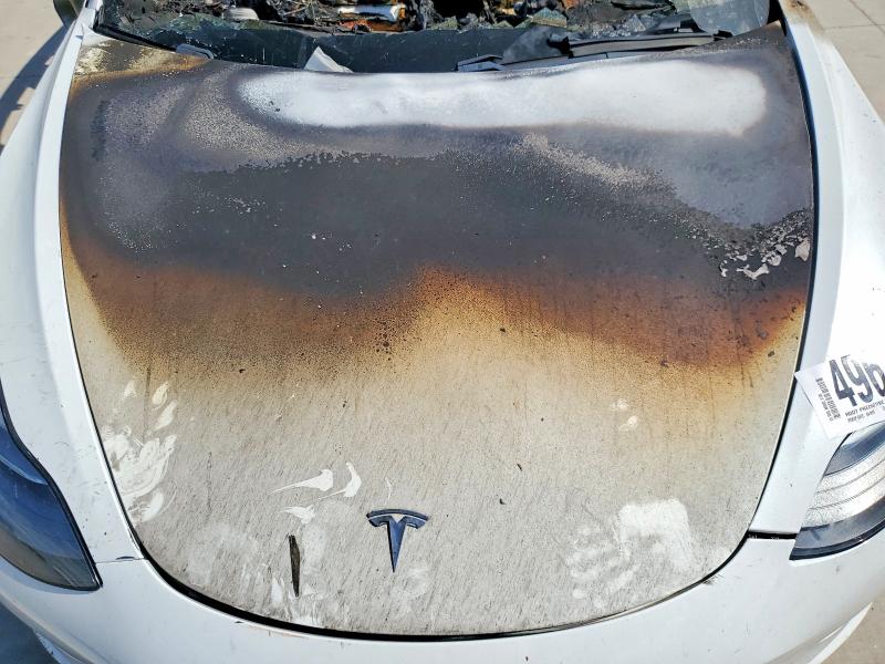 Продаж на аукціоні авто 2021 Tesla Model 3, vin: 5YJ3E1EB9MF927150, номер лоту: 49614766