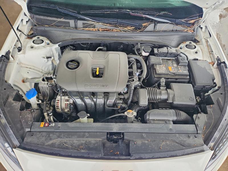 50393436 :رقم المزاد ، 3KPF24AD5RE723554 vin ، 2024 Kia Forte مزاد بيع