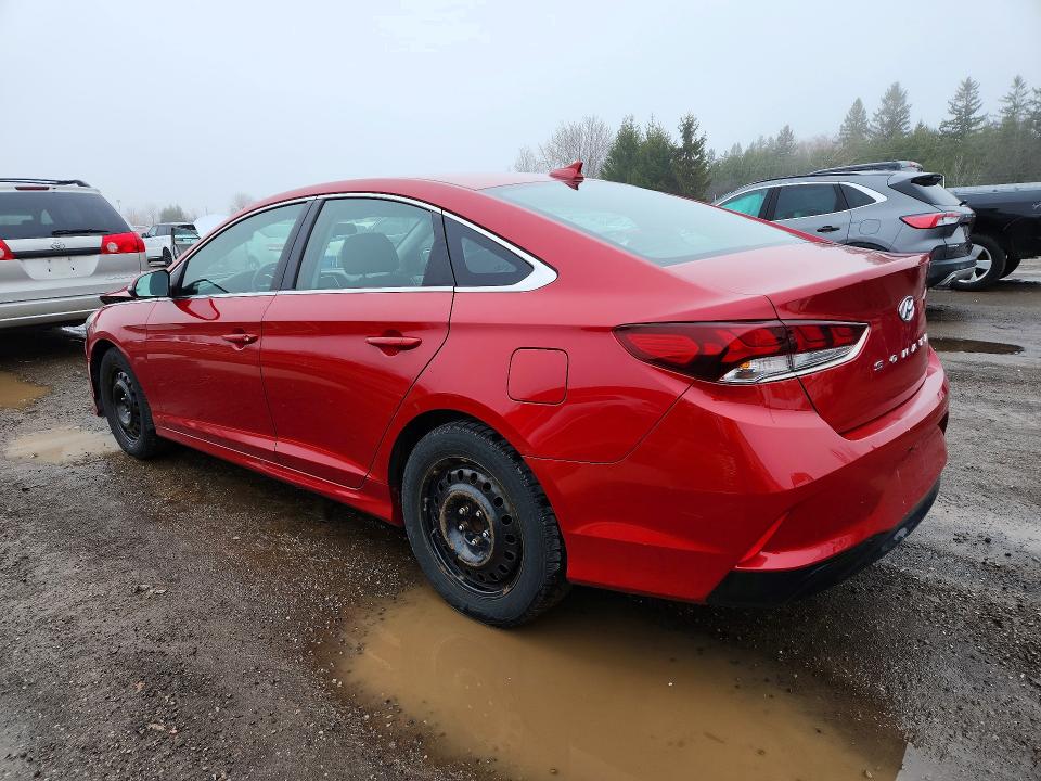 Продажа на аукционе авто 2019 Hyundai Sonata, vin: 5NPE24AF7KH803033, номер лота: 49396436