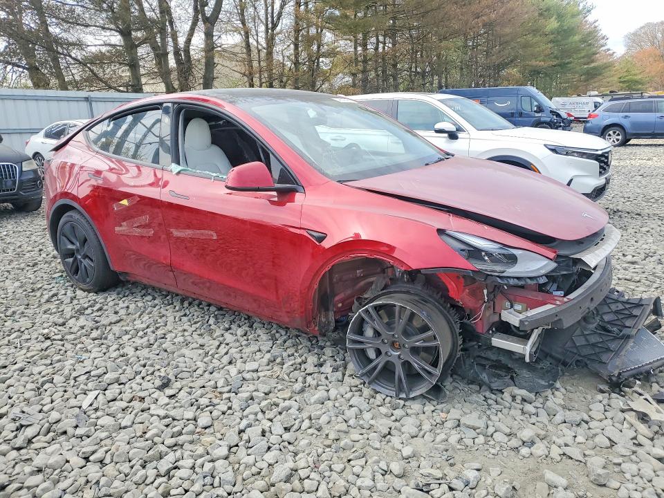 Продаж на аукціоні авто 2025 Tesla Model Y, vin: 7SAYGDEE6SA365359, номер лоту: 49326456
