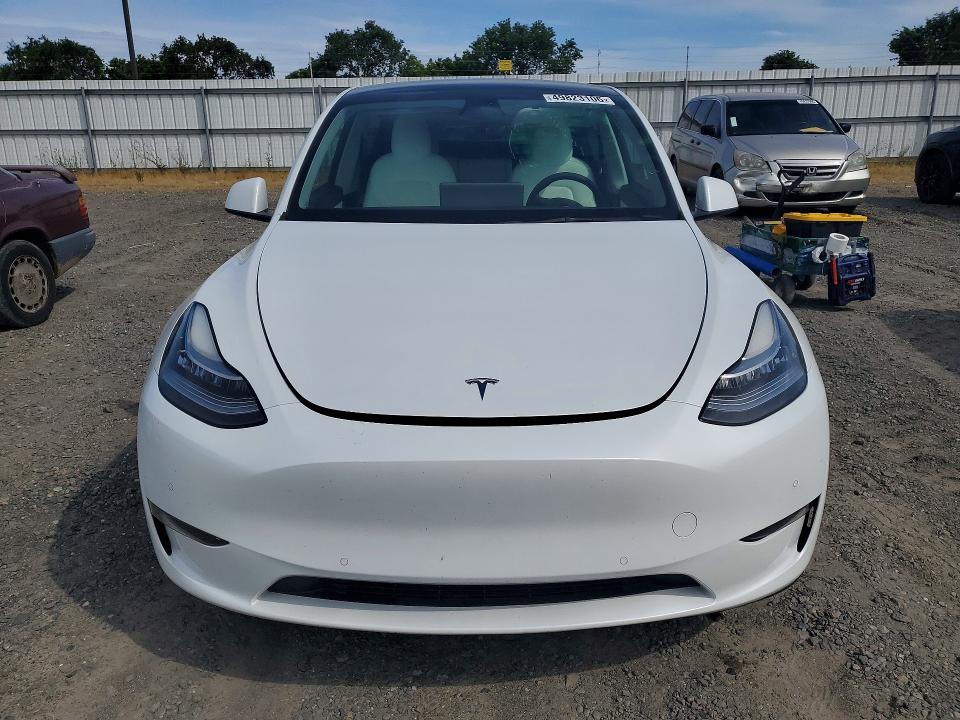 Продаж на аукціоні авто 2021 Tesla Model Y, vin: 5YJYGDEE3MF225109, номер лоту: 49823106