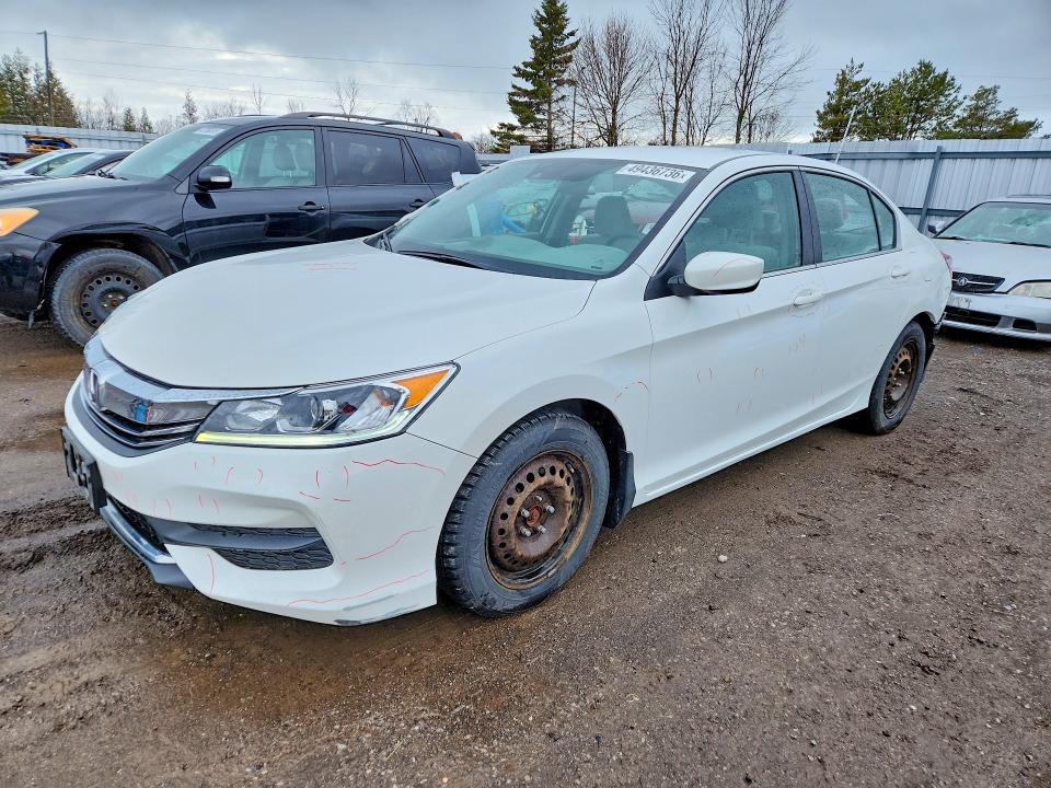 49436736 :رقم المزاد ، 1HGCR2F43GA800239 vin ، 2016 Honda Accord مزاد بيع