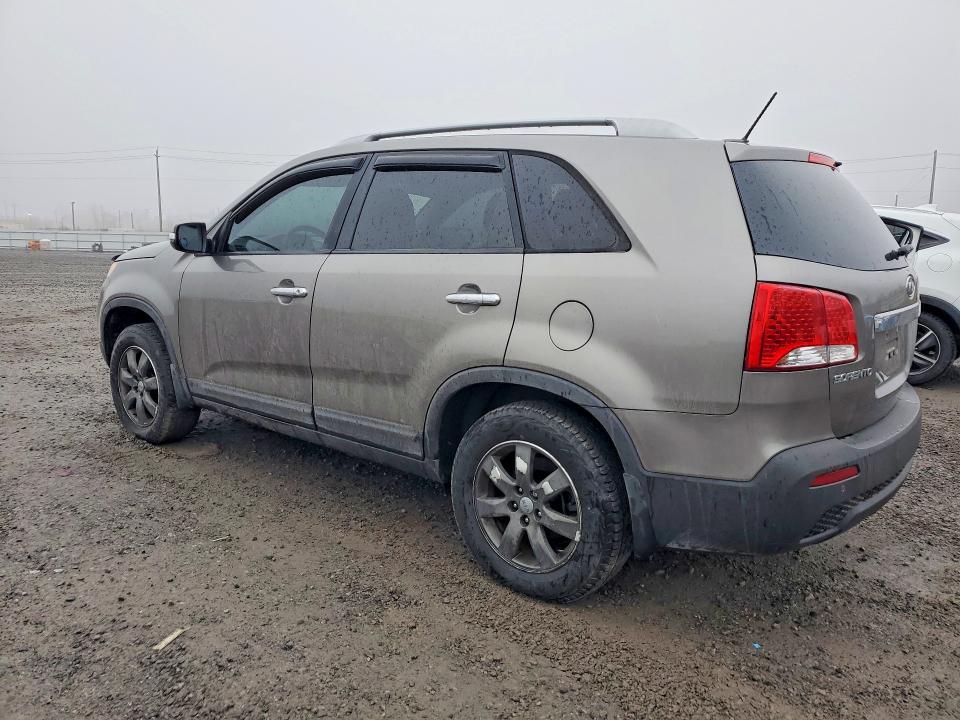 50229206 :رقم المزاد ، 5XYKT3A67DG384170 vin ، 2013 Kia Sorento مزاد بيع