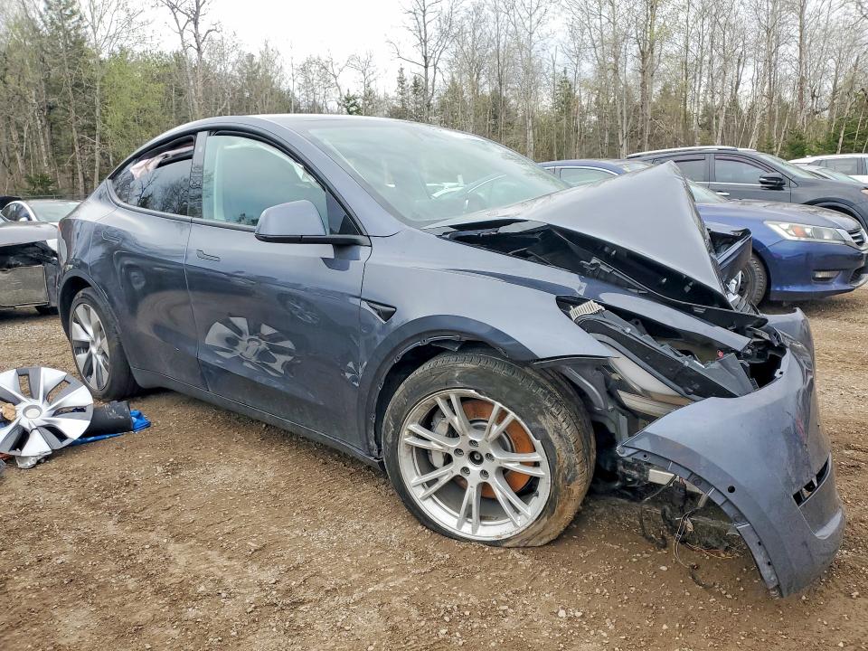 2022 Tesla Model Y მანქანა იყიდება აუქციონზე, vin: 7SAYGDEE4NF504945, აუქციონის ნომერი: 50126506
