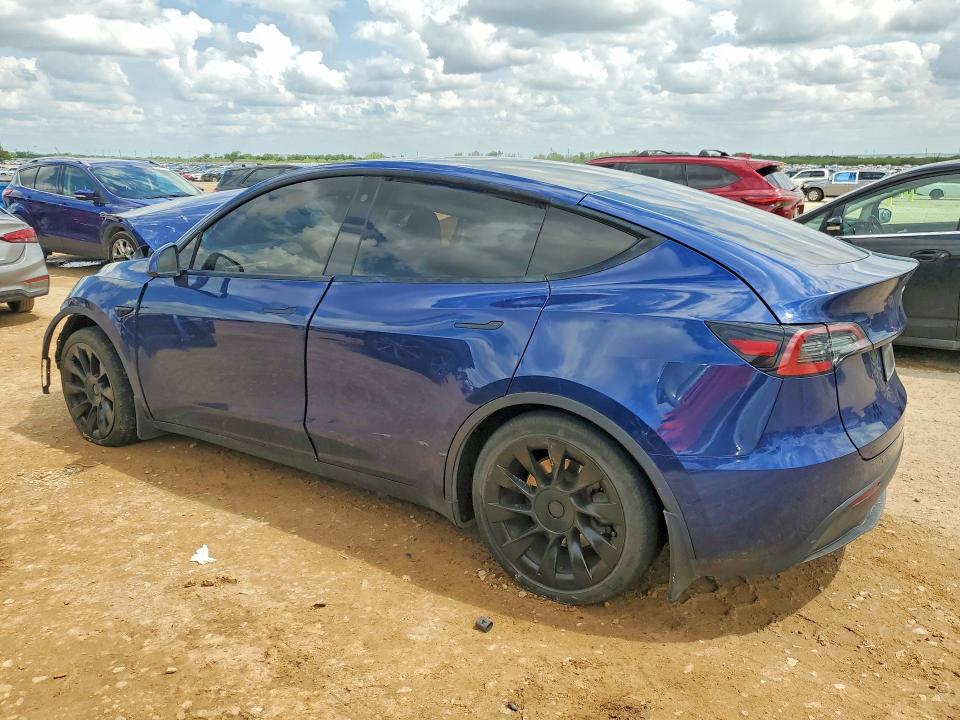 2021 Tesla Model Y მანქანა იყიდება აუქციონზე, vin: 5YJYGAEE1MF191816, აუქციონის ნომერი: 50193656