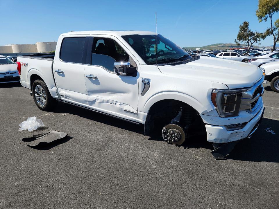 Продаж на аукціоні авто 2021 Ford F150, vin: 1FTFW1ED3MFC72345, номер лоту: 50187866