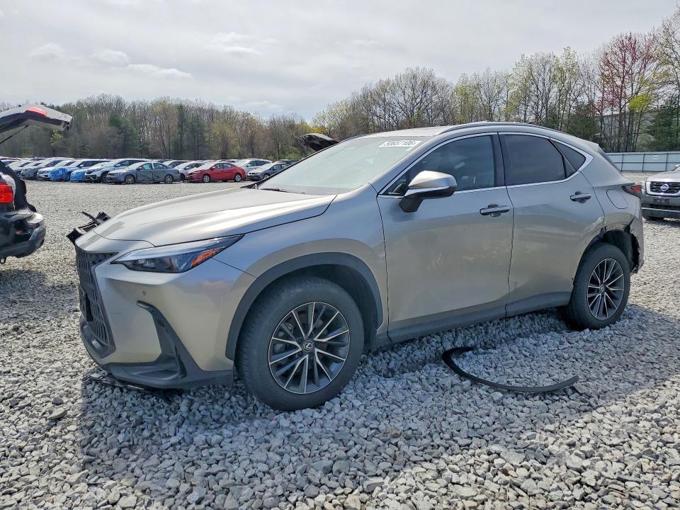 50657106 :رقم المزاد ، 2T2GGCEZ2RC041179 vin ، 2024 Lexus Nx 350 مزاد بيع