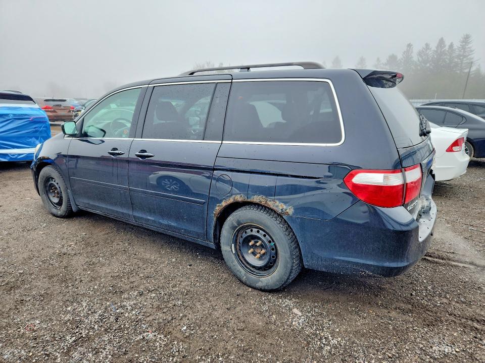 Продажа на аукционе авто 2007 Honda Odyssey, vin: 5FNRL38697B506088, номер лота: 49640516