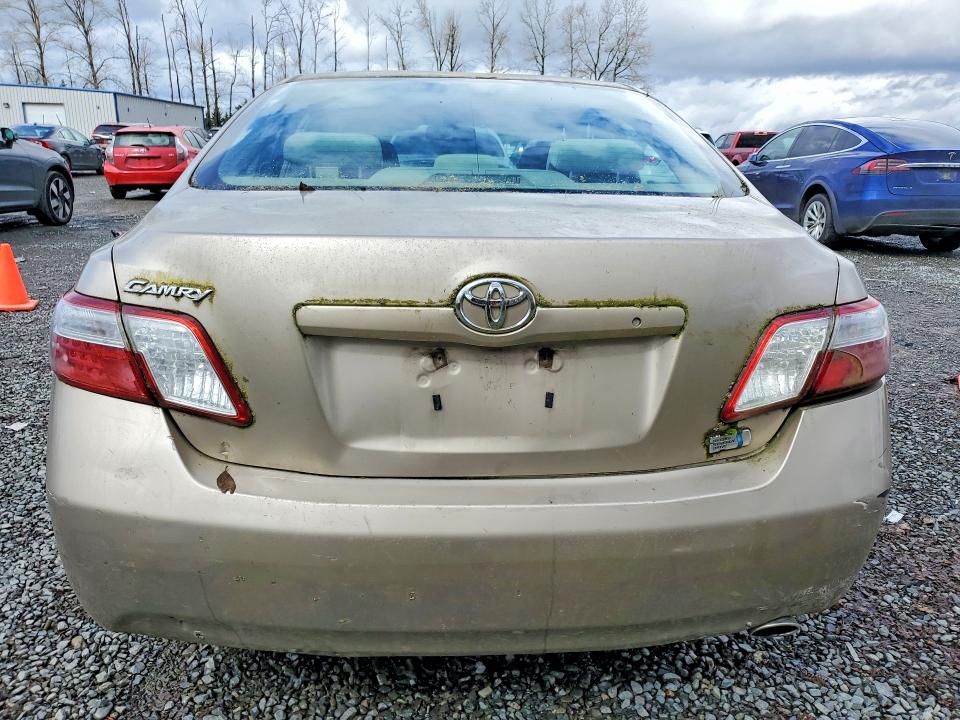 48499376 :رقم المزاد ، JTNBB46K873036591 vin ، 2007 Toyota Camry مزاد بيع