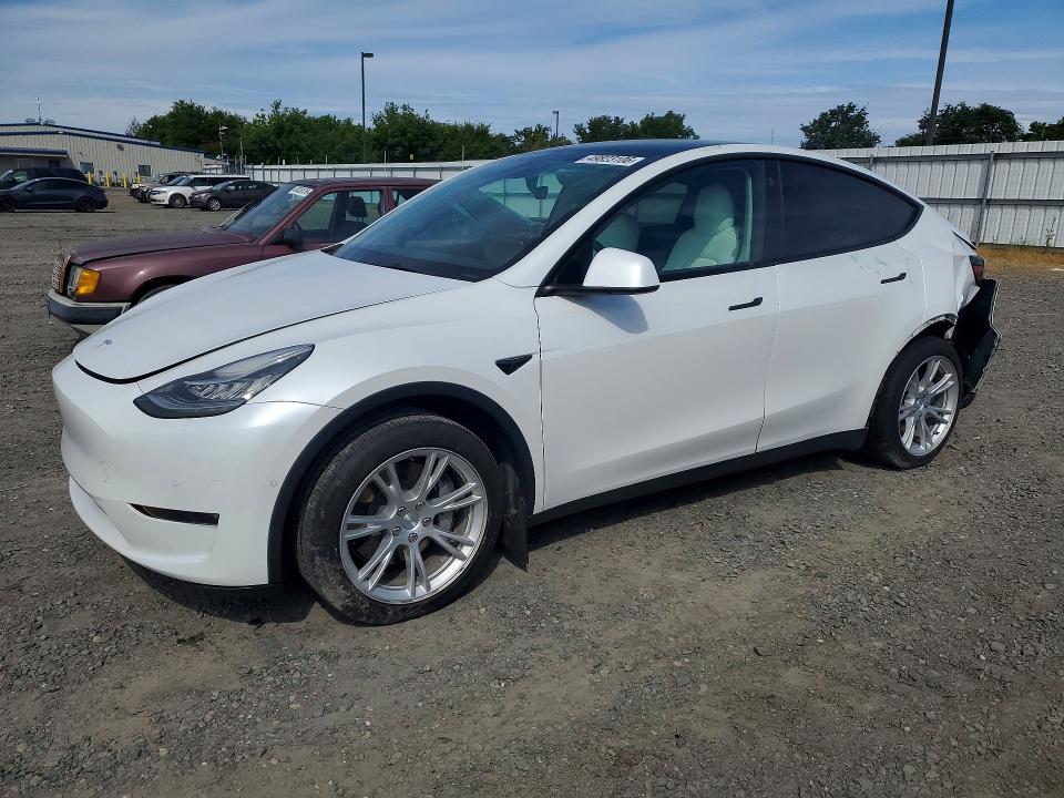 49823106 :رقم المزاد ، 5YJYGDEE3MF225109 vin ، 2021 Tesla Model Y مزاد بيع