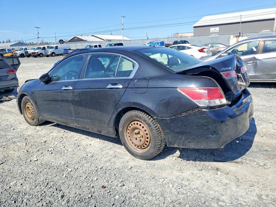 50424026 :رقم المزاد ، 1HGCP3F79BA800065 vin ، 2011 Honda Accord مزاد بيع