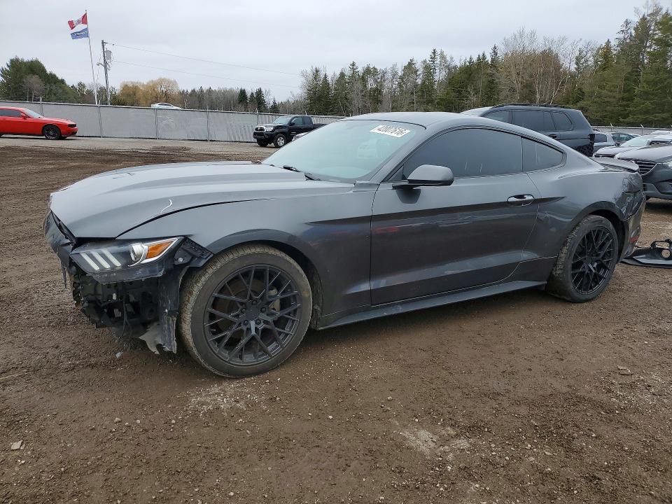 Auction sale of the 2017 Ford Mustang, vin: 1FA6P8AM8H5318653, lot number: 42007616