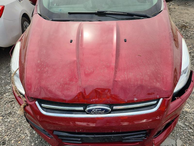Продаж на аукціоні авто 2014 Ford Escape, vin: 1FMCU0JX4EUA82193, номер лоту: 50161656