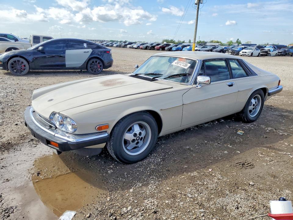 49012136 :رقم المزاد ، SAJNV5846EC117052 vin ، 1984 Jaguar Xjs مزاد بيع