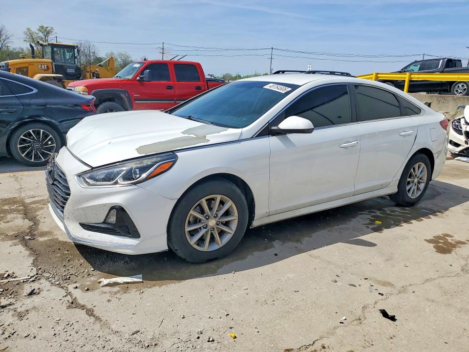 48764606 :رقم المزاد ، 5NPE24AF1KH747574 vin ، 2019 Hyundai Sonata مزاد بيع