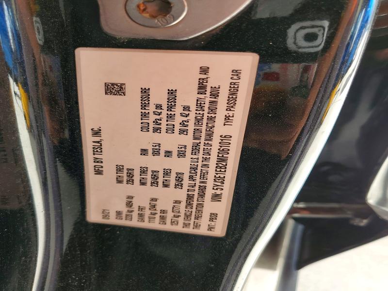 Продаж на аукціоні авто 2021 Tesla Model 3, vin: 5YJ3E1EB2MF061016, номер лоту: 49333846