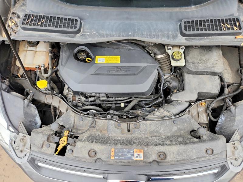 Продаж на аукціоні авто 2014 Ford Escape, vin: 1FMCU9GX1EUC62372, номер лоту: 49660026