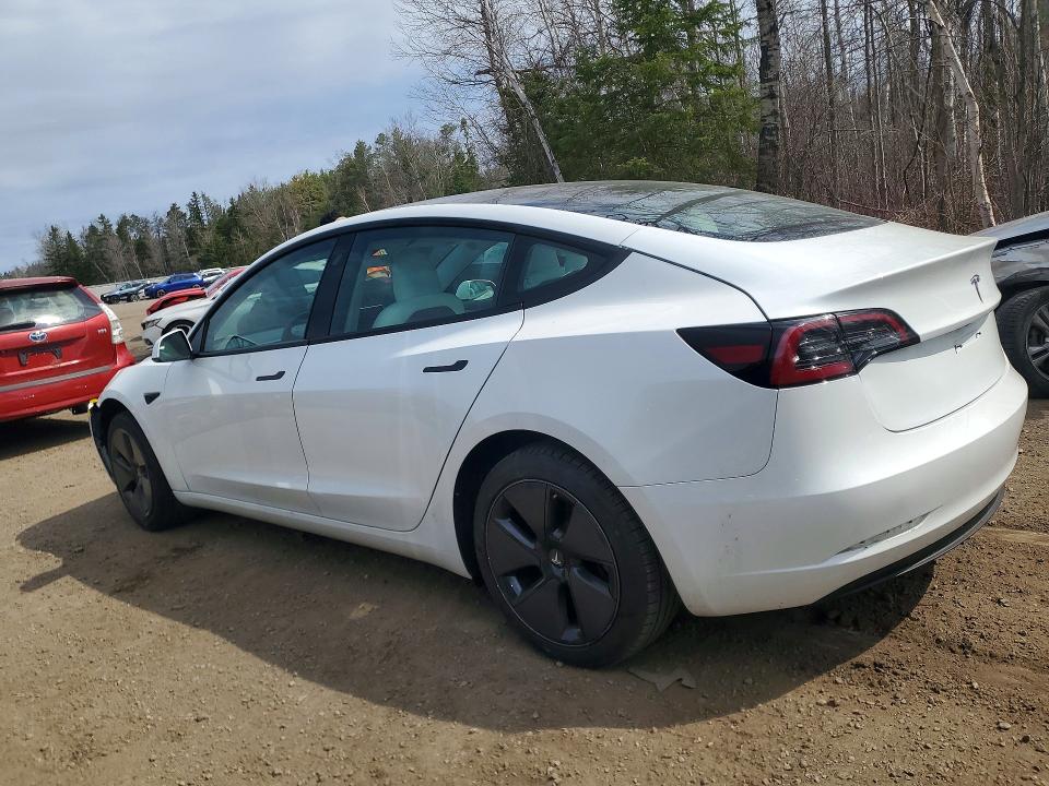 Продаж на аукціоні авто 2023 Tesla Model 3, vin: 5YJ3E1EA7PF556839, номер лоту: 49619526