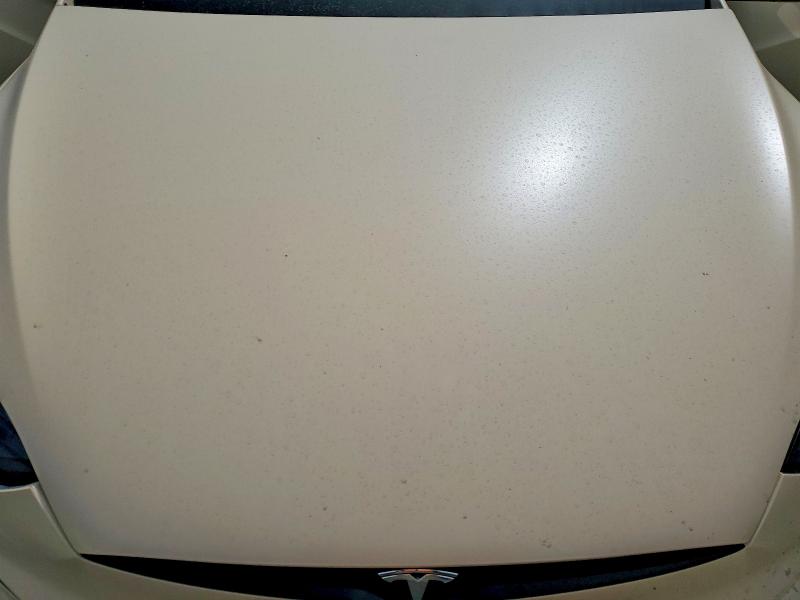 50727276 :رقم المزاد ، 7SAXCBE51PF403490 vin ، 2023 Tesla Model X مزاد بيع