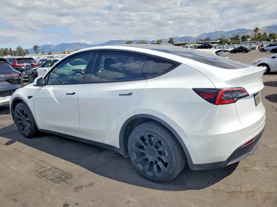 51075086 :رقم المزاد ، 7SAYGDEE2NF495078 vin ، 2022 Tesla Model Y مزاد بيع