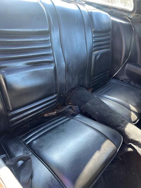 Продаж на аукціоні авто 1981 Pontiac Firebird, vin: 1G2AW87W5BL105229, номер лоту: 51724796