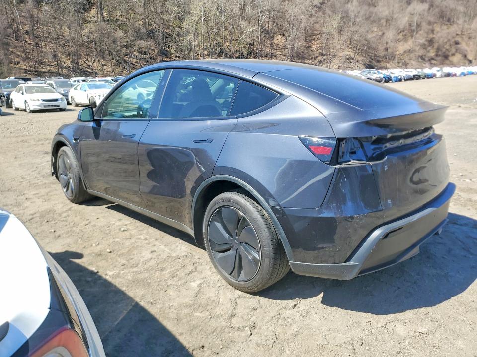 Продажа на аукционе авто 2026 Tesla Model Y, vin: 7SAYGDEE3TF336356, номер лота: 49311576
