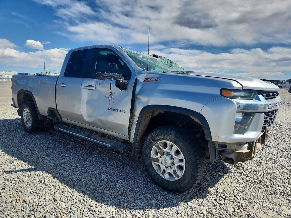 50959506 :رقم المزاد ، 1GC5YNEY9LF293554 vin ، 2020 Chevrolet Silverado مزاد بيع
