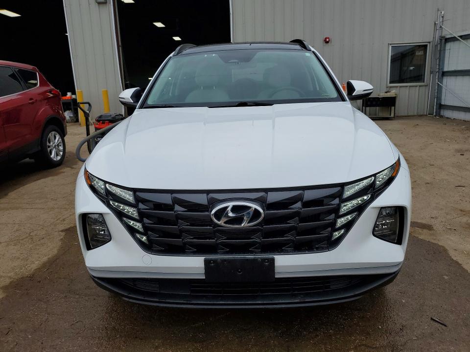 Продаж на аукціоні авто 2024 Hyundai Tucson, vin: KM8JCCD14RU213535, номер лоту: 51105946