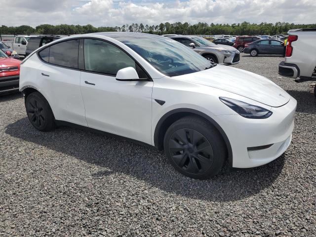 Продажа на аукционе авто 2024 Tesla Model Y, vin: 7SAYGDED5RA333505, номер лота: 49249076