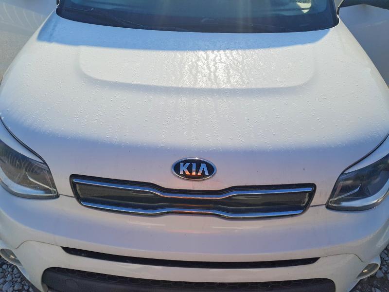 50313396 :رقم المزاد ، KNDJP3A53K7678831 vin ، 2019 Kia Soul مزاد بيع