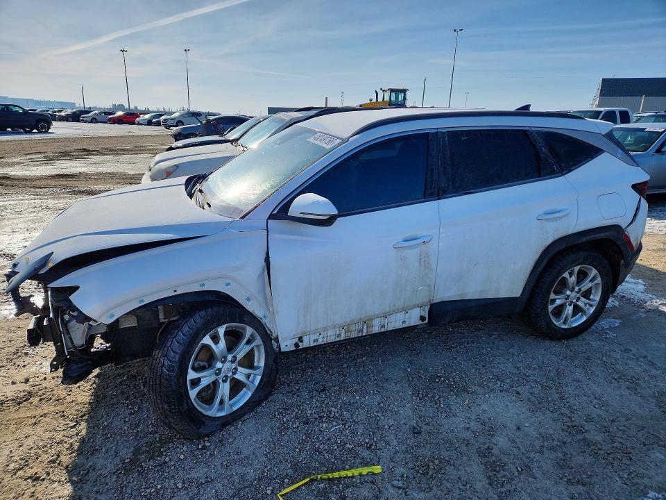 Продаж на аукціоні авто 2023 Hyundai Tucson, vin: KM8JBCAE9PU202571, номер лоту: 48249766