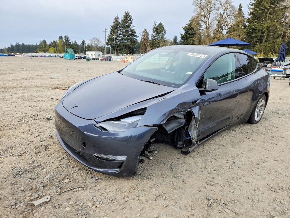 Продаж на аукціоні авто 2023 Tesla Model Y, vin: 7SAYGDEE1PF896740, номер лоту: 50533616