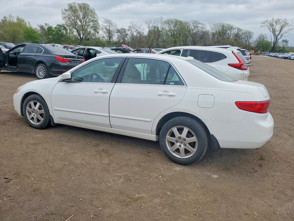 50779456 :رقم المزاد ، 1HGCM66555A079000 vin ، 2005 Honda Accord مزاد بيع